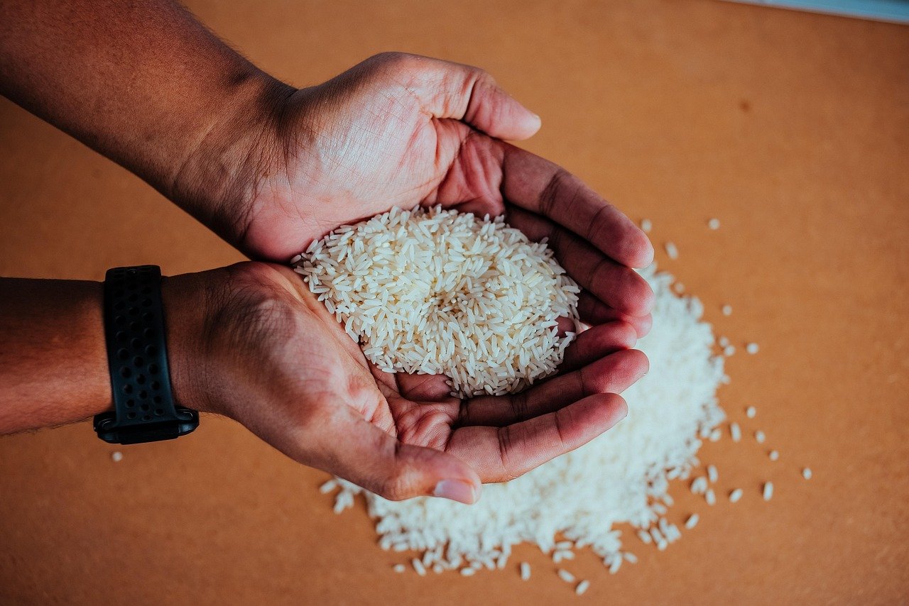 rice, paddy, eat, food, field, harvest, brown rice, rice, rice, brown rice, brown rice, brown rice, brown rice, brown rice